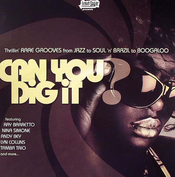 Can You Dig It? (Thrillin' RARE GROOVES from JAZZ to SOUL 'n' BRAZIL to BOOGALOO)